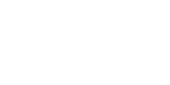 Provident Romania 로고 화이트